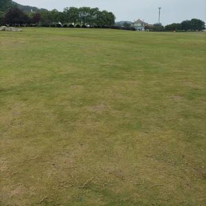 爱要怎么说出口