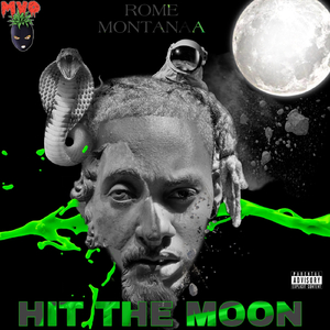 Hit the Moon