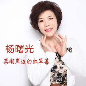 巢湖岸边的红草莓 (伴奏)