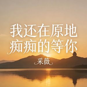 我还在原地痴痴的等你(伴奏)