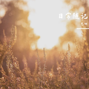 午后的阳光与梦