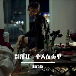 别留我一个人在夜里 伴奏
