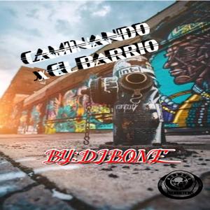 Caminando x el barrio