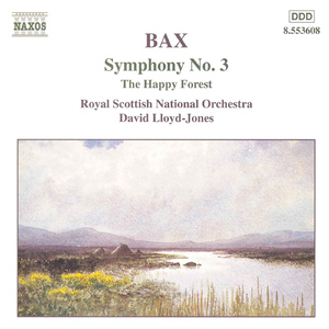 Symphony No. 3:II. Moderato - Epilogue: Poco lento
