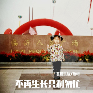 不再生长只剩匆忙 伴奏