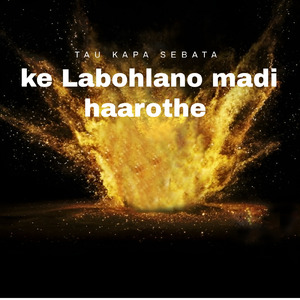 Ke Labohlano madi haarothe