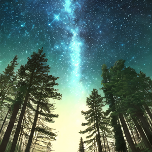 森林期许（feat.ACE Studio）