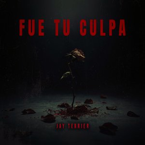 Fue tu culpa