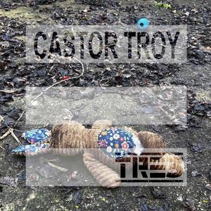 Castor Troy