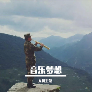 大树王荣-音乐梦想
