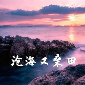 沧海又桑田·戏腔女版 伴奏
