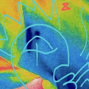 鸡鸣狗吠猪哼猫盗