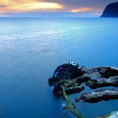 风雨彩虹铿锵玫瑰 (2.0)