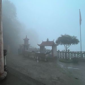 狂野想乡