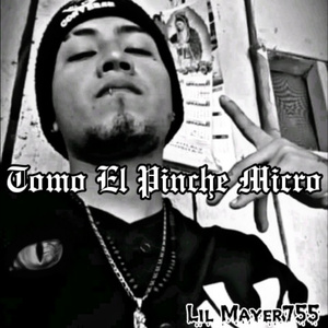 Tomo el Pinche Micro
