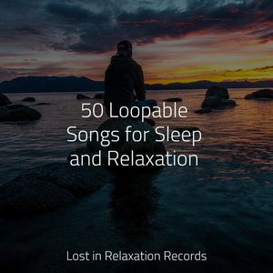 Lakeside Tranquility