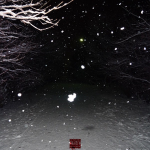 Окутанный снегом