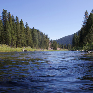 Streamside Serenade Ensemble