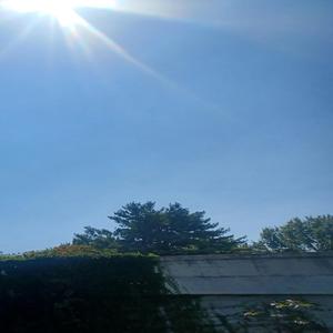 trotventurs1 sup rise