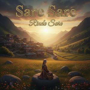 Sare sare rinde sare (feat. dilruba)