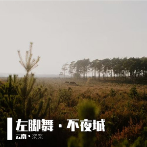 左脚舞·不夜城