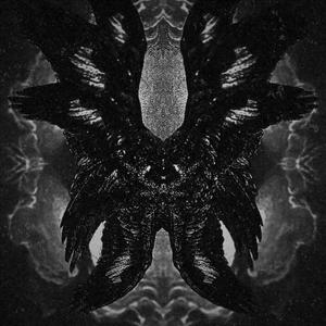 ANGEL TEARS