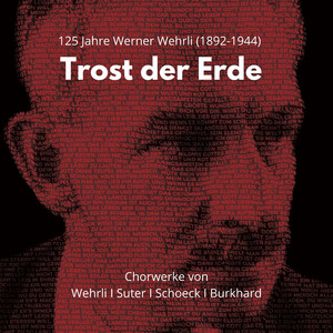 Sechs Madrigale, Op. 6: 6. Das Käuzlein