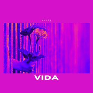 Vida