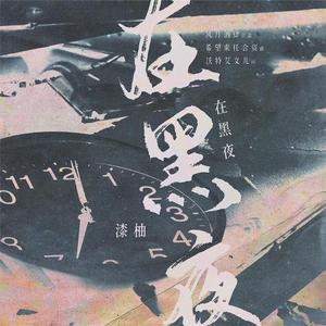 在黑夜，在黑夜