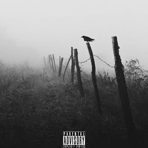 长话短说freestyle