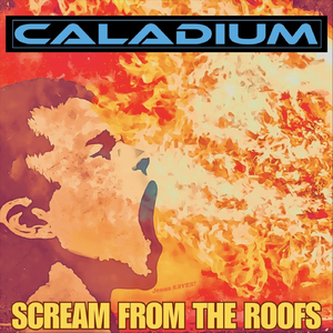 Scream from the Roofs