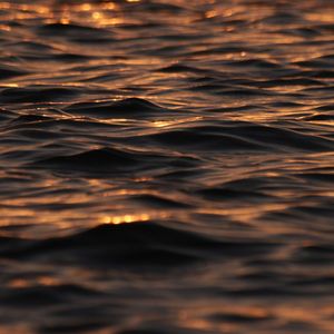 风过山海我们正年少