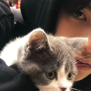 看看外面的世界