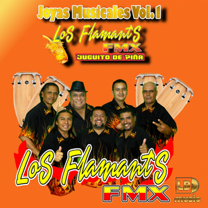 Flamante (Popurri Socios del ritmo)