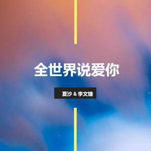 全世界说爱你