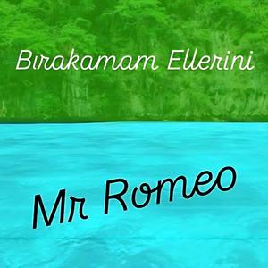 Bırakamam Ellerini