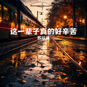 这一辈子真的好辛苦