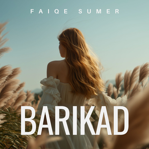 Barikad