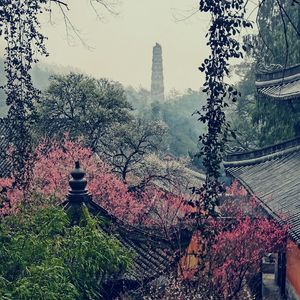 梦游天台山