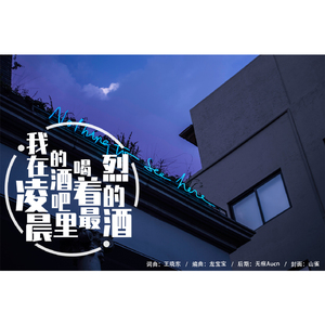 我在凌晨的酒吧喝着最烈的酒 (伴奏)
