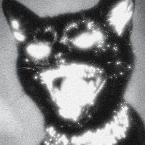 ‘幻兽拳’ SIK-K x ROCK TYPE BEAT