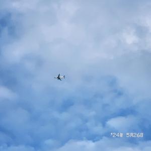 一阵路过你的风