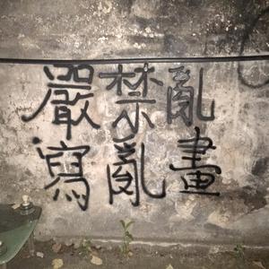 在我前面的那个人