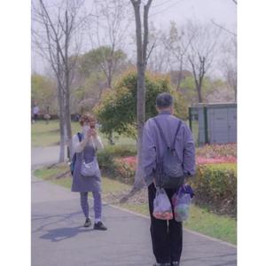 万有引力