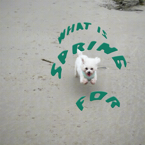 春天是用来做什么的