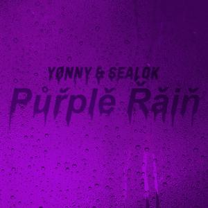 Purple Rain (feat. SEALOK)