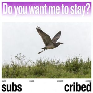 Do you want me to stay ❀