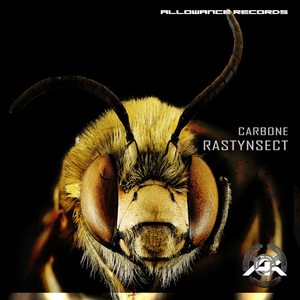 Insect (Original Mix)