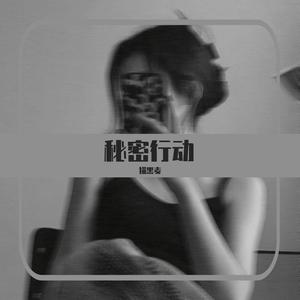 秘密行动