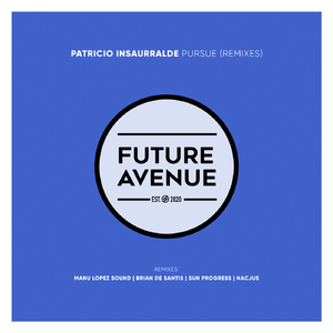 Pursue (Brian De Santis Remix)